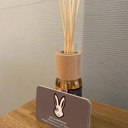 - Les Cosy De - Place Du Marche, Proche Gare 南锡