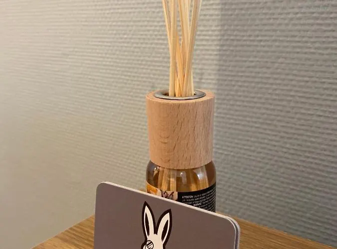 - Les Cosy De - Place Du Marche, Proche Gare Nancy