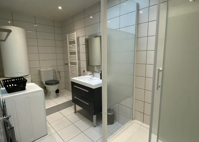 - Les Cosy De - Place Du Marche, Proche Gare * Nancy